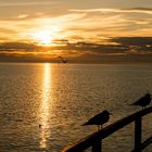 Sonnenuntergang in Friedrichshafen