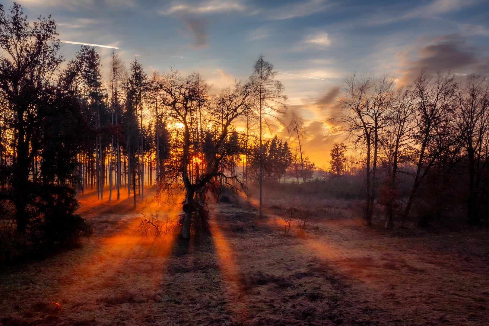 Sonnenuntergang in frostiger Landschaft