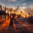 Sonnenuntergang in frostiger Landschaft