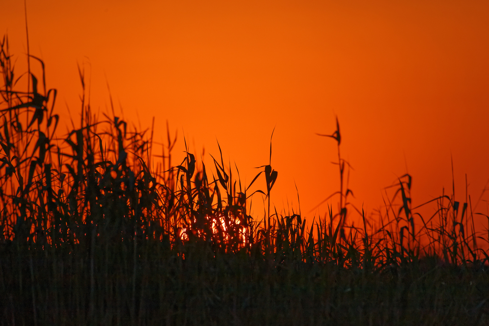 Sonnenuntergang in Ft. Namutoni