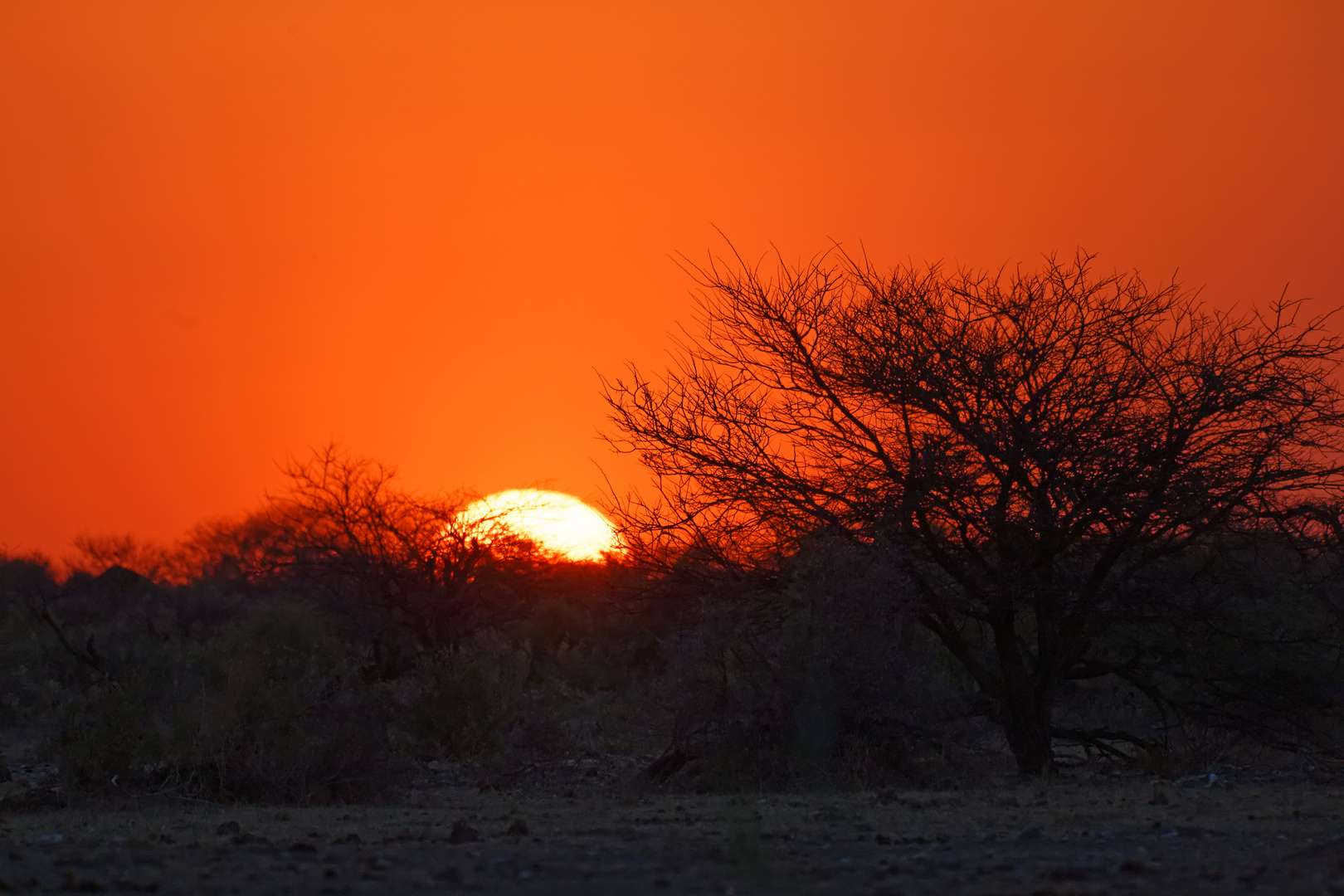 Sonnenuntergang in Ft. Namutoni_1