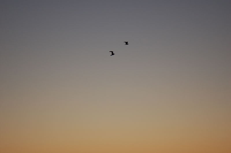 Sonnenuntergang in Funtana/Kroatien2