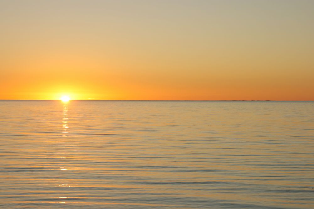 Bilder mit Gelb: Eine Reise in die Welt der Farbe