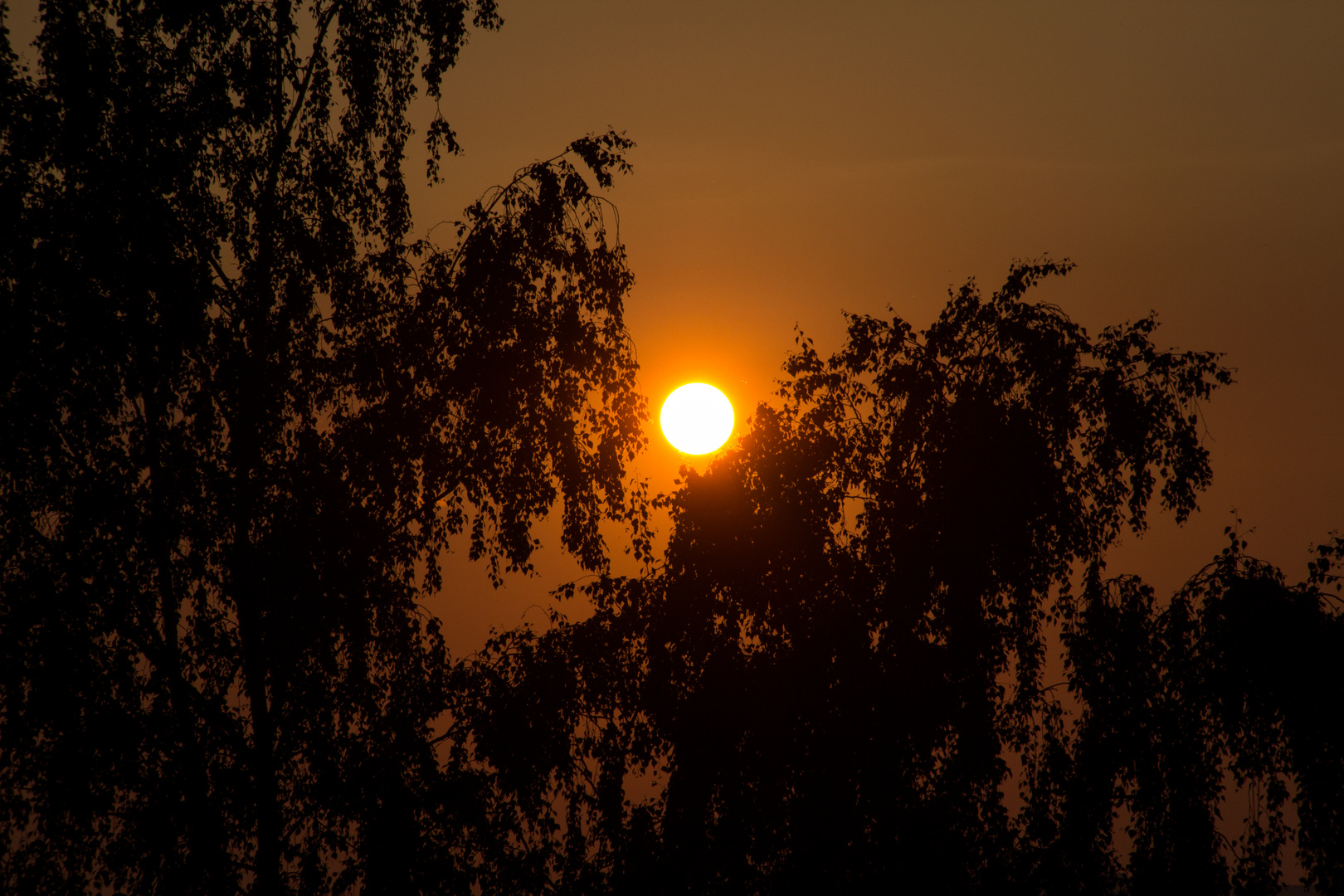 Sonnenuntergang in Göttingn