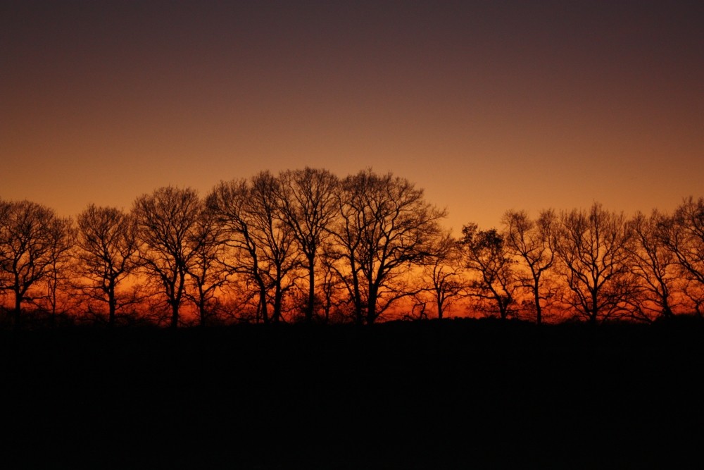 Sonnenuntergang in Goldenstedt