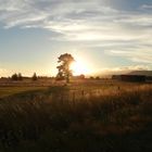 Sonnenuntergang in Greytown