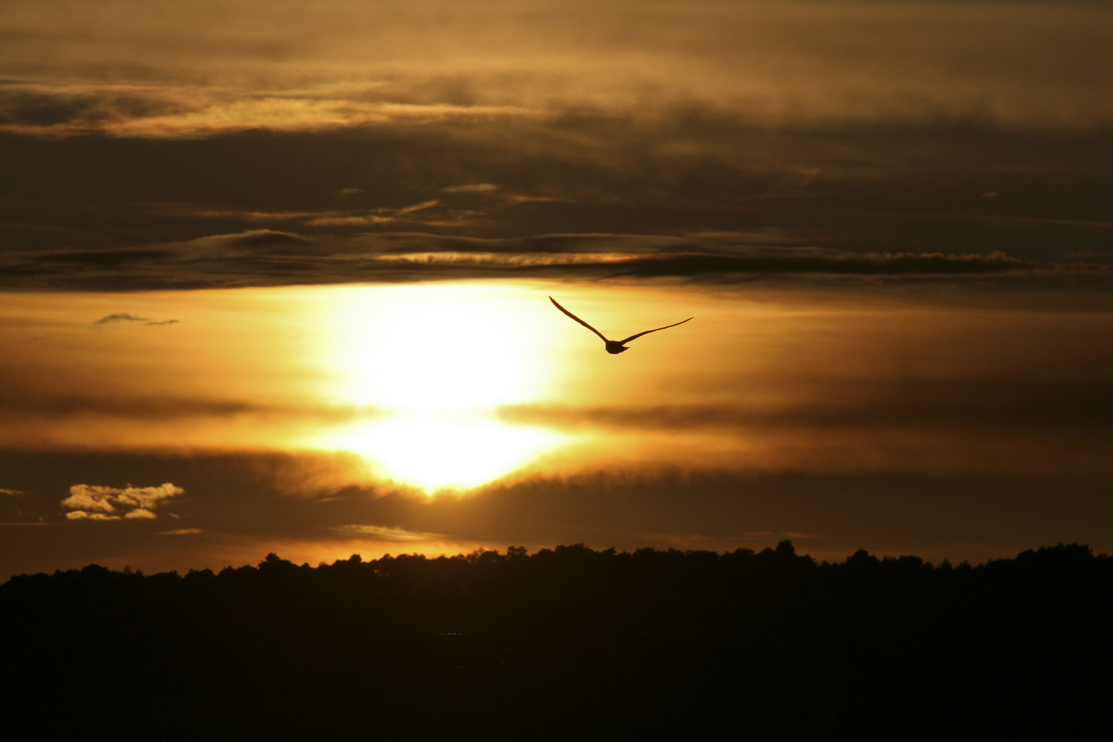 Sonnenuntergang in Gruissan (F)