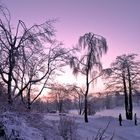 Sonnenuntergang in Hahnenklee am Kranichsee