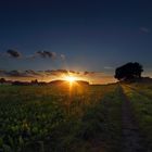 Sonnenuntergang in Hamm Berge (Nähe Wassertürme)