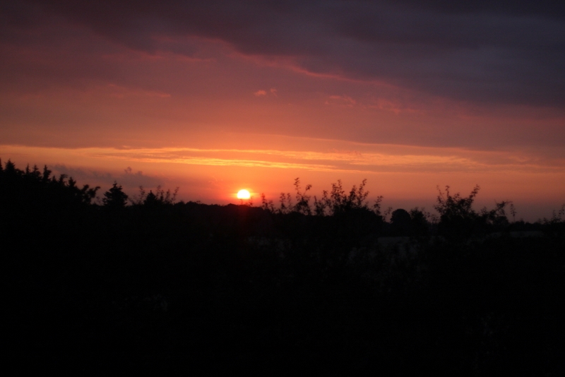 Sonnenuntergang in Harfe