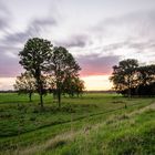 Sonnenuntergang in Haseldorf