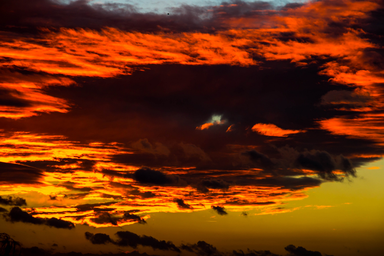 Sonnenuntergang in Hattersheim