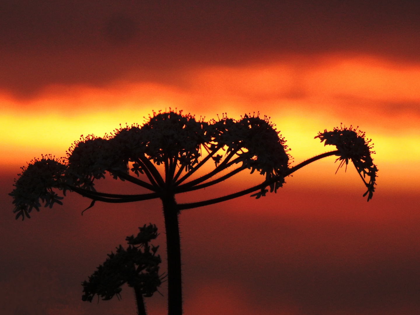 Sonnenuntergang in Heiligenhaus