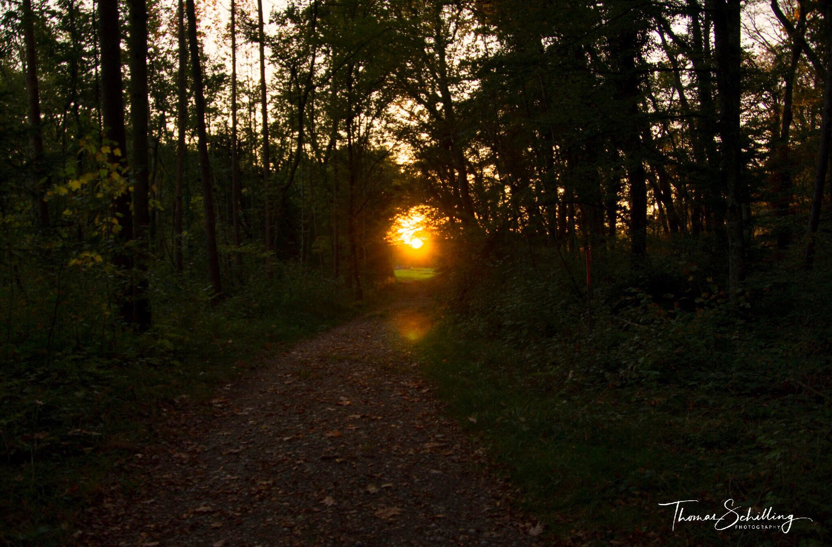 Sonnenuntergang in Herdern