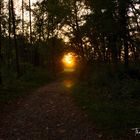 Sonnenuntergang in Herdern