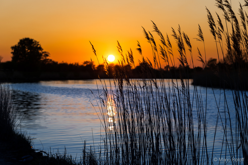 Sonnenuntergang in HGW