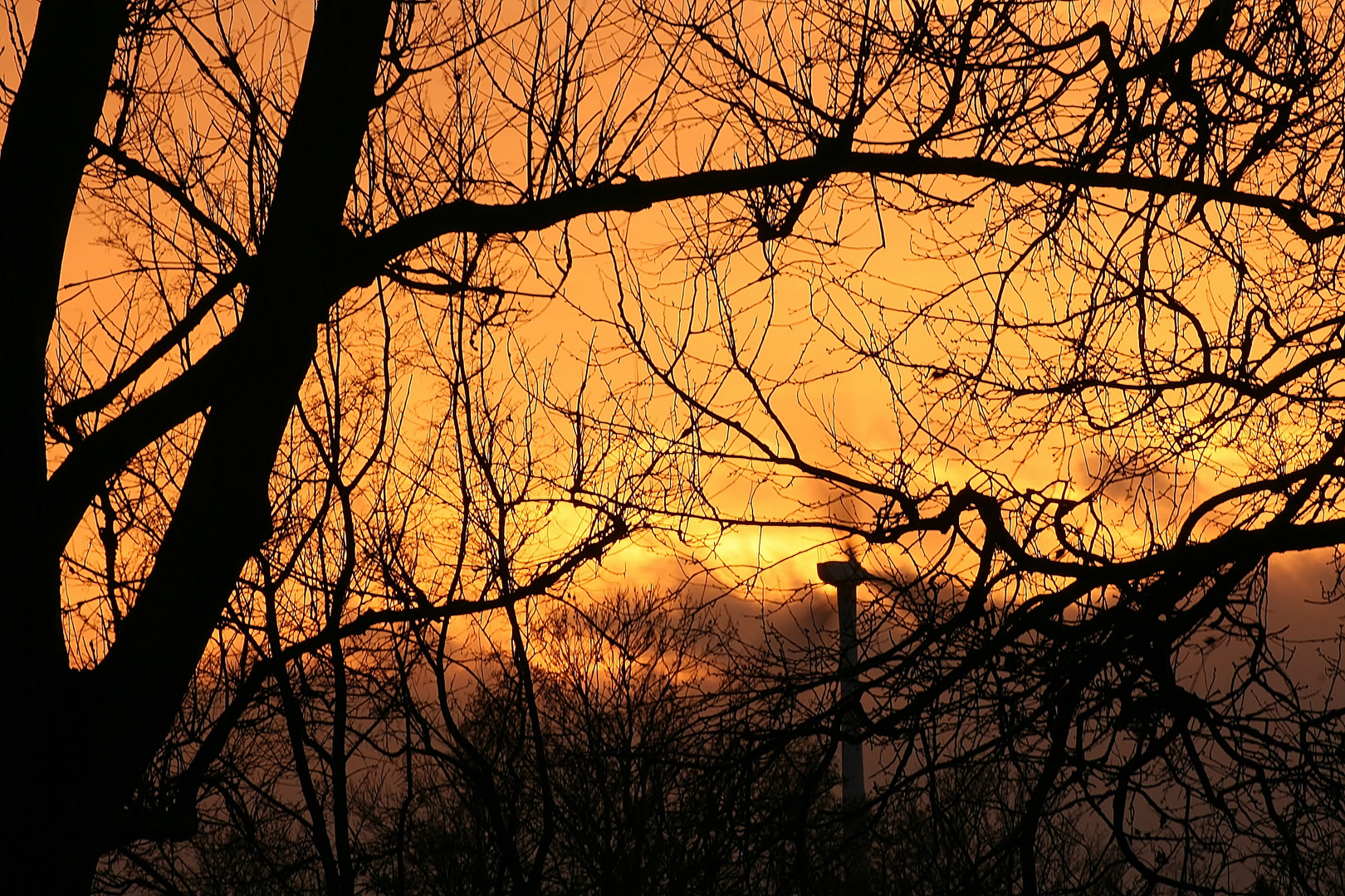 Sonnenuntergang in HH-Neuland