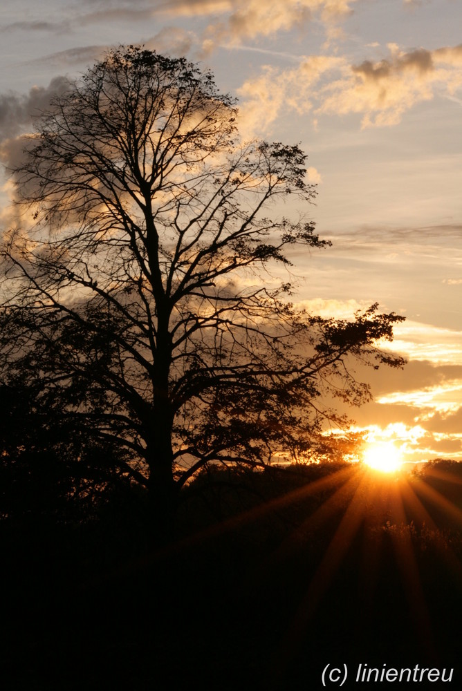 Sonnenuntergang in Hollage