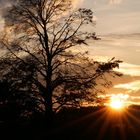 Sonnenuntergang in Hollage