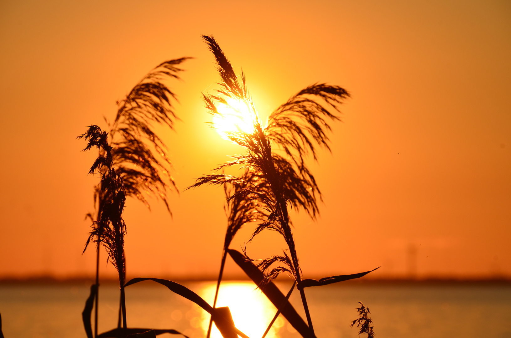 Sonnenuntergang in Holland