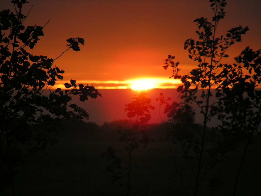 sonnenuntergang in holland