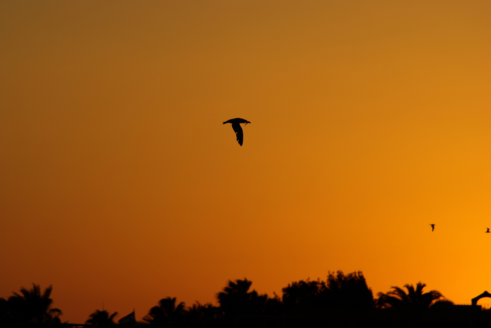 Sonnenuntergang in Hurghada