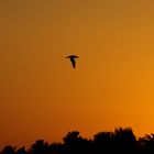 Sonnenuntergang in Hurghada