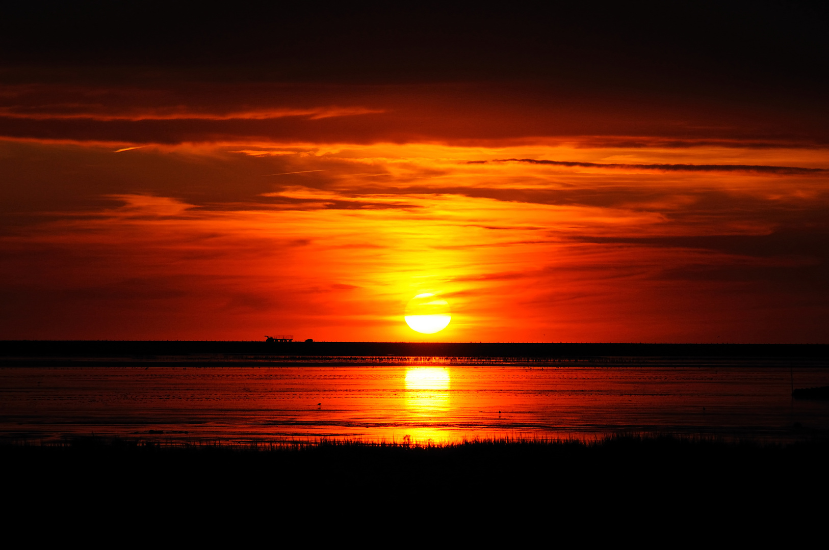 Sonnenuntergang in Husum Schobüll mit Blick auf die Nordsee