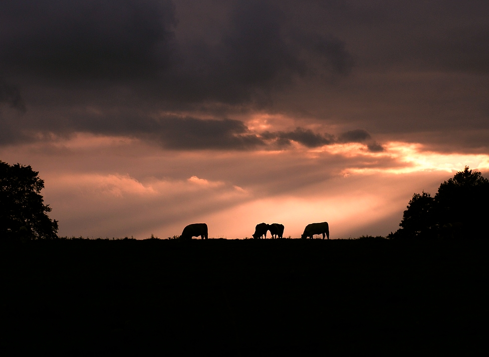 Sonnenuntergang in Illertissen