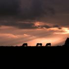 Sonnenuntergang in Illertissen