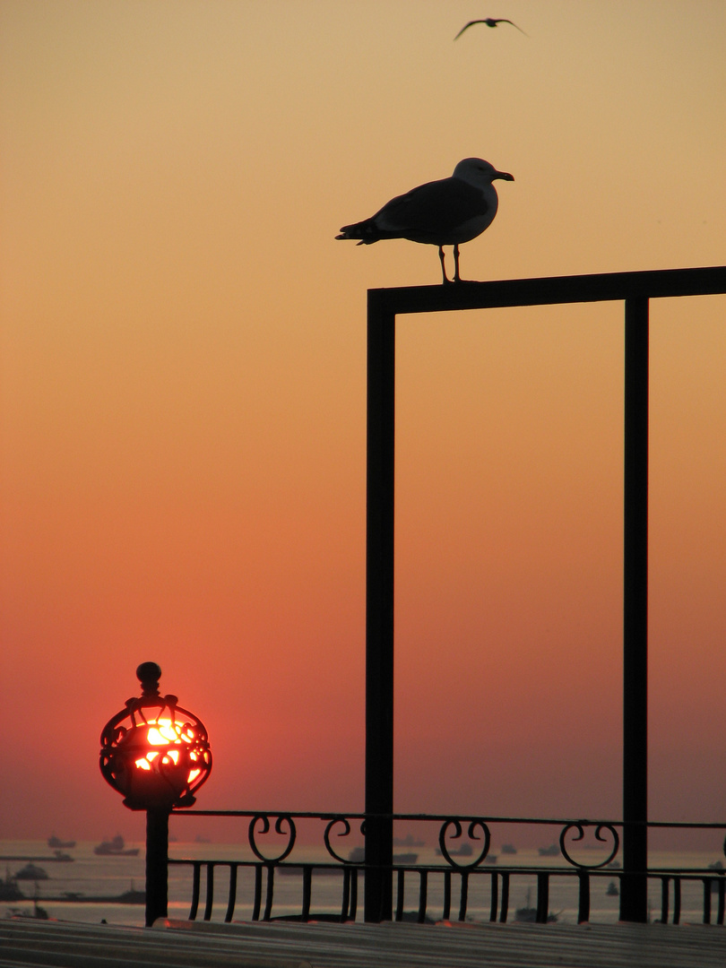 Sonnenuntergang in Istanbul