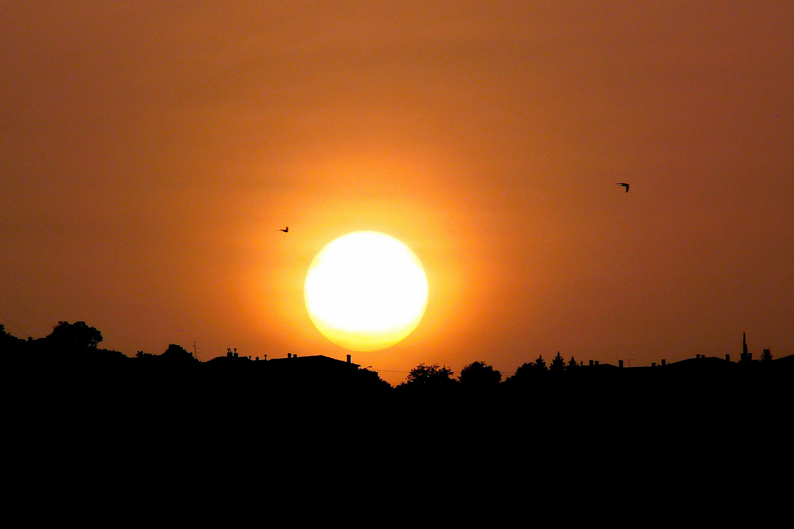 Sonnenuntergang in Istrien