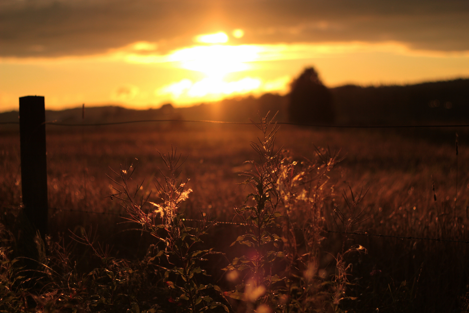 Sonnenuntergang in Järeda