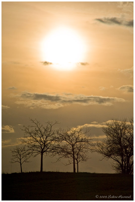 sonnenuntergang in kalchreuth