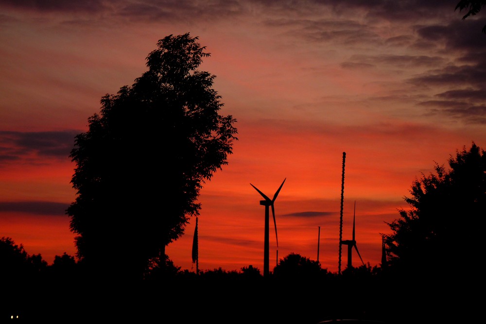 Sonnenuntergang in Kalkar am Wisseler See