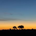 Sonnenuntergang in Karschau an der Schlei 