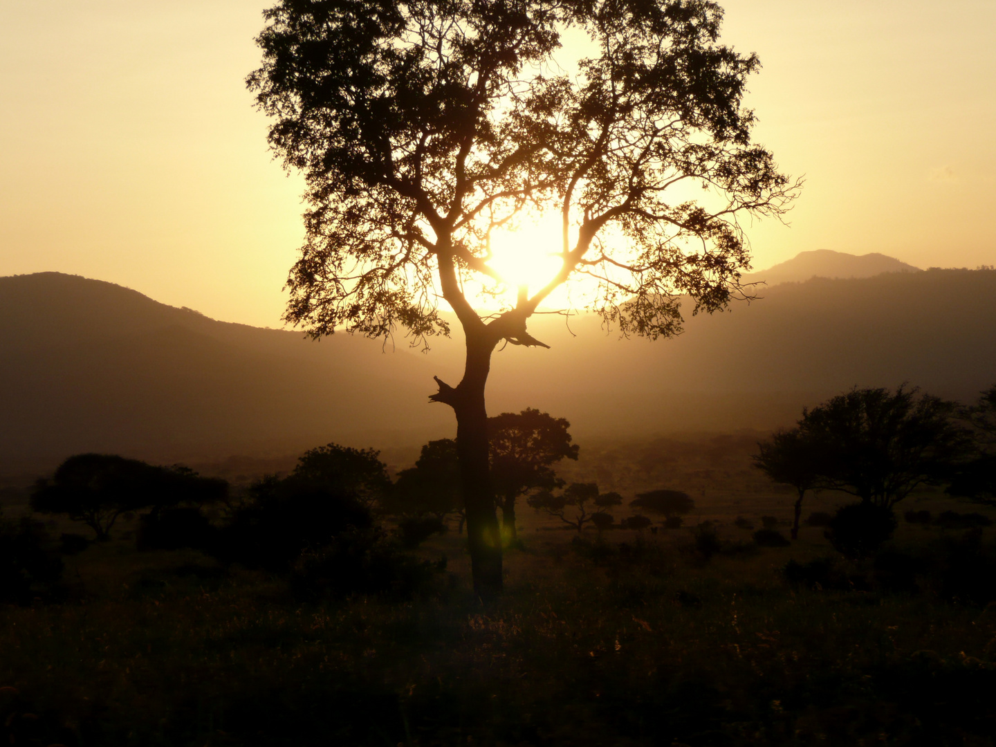 Sonnenuntergang in Kenia