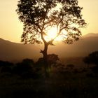 Sonnenuntergang in Kenia