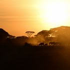 Sonnenuntergang in Kenia