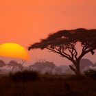 Sonnenuntergang in Kenia 