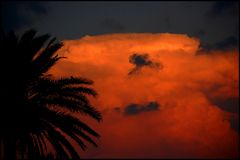 Sonnenuntergang in Key West