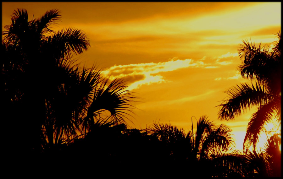 Sonnenuntergang in Key West