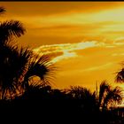 Sonnenuntergang in Key West