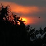 Sonnenuntergang in Kigali
