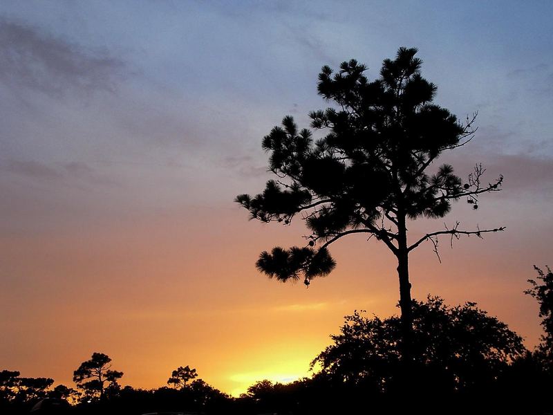 Sonnenuntergang in Kissimmee