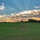 Sonnenuntergang in Knittkuhl