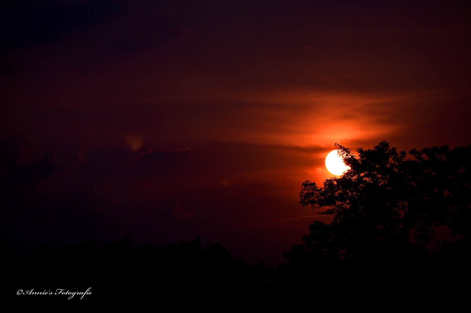 Sonnenuntergang in Köln