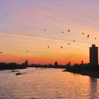 Sonnenuntergang in Köln....