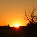 Sonnenuntergang in Köln (Zündorf)