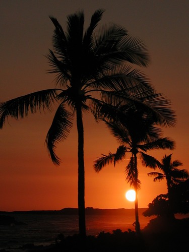 Sonnenuntergang in Kona